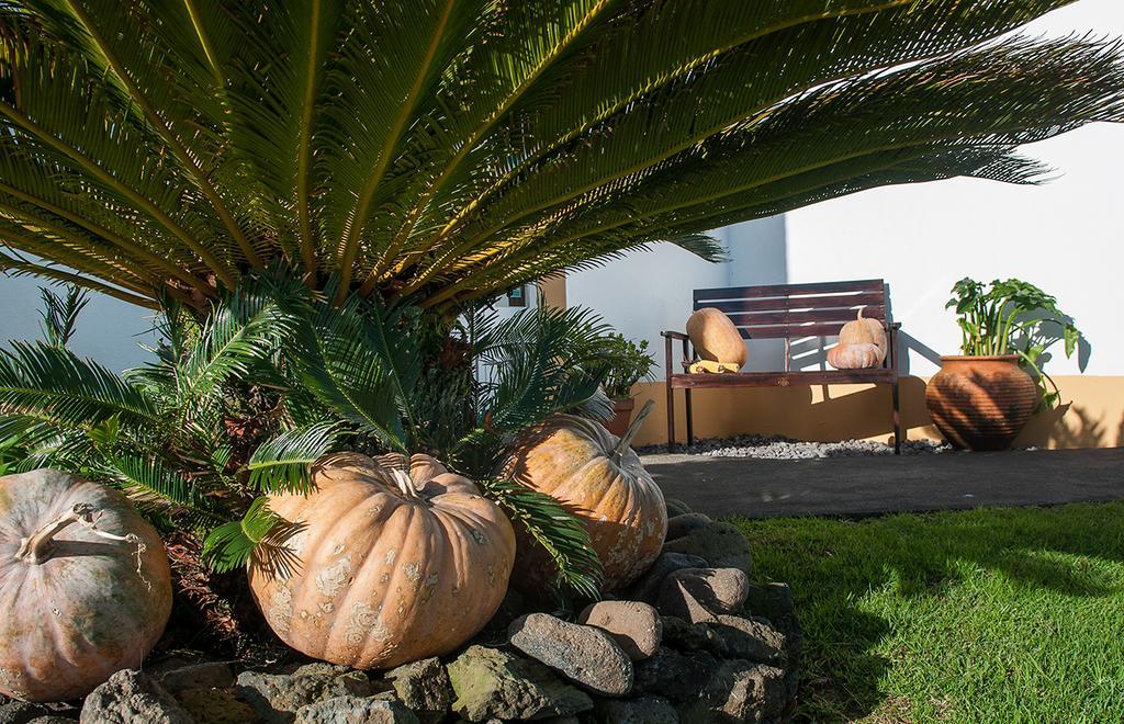 오르타 Vila Belgica B&B 외부 사진